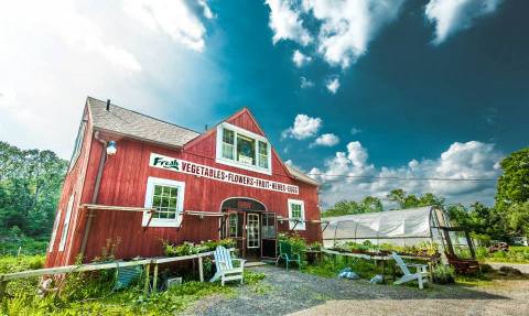 There’s A Bakery On This Beautiful Farm In Connecticut And You Have To Visit