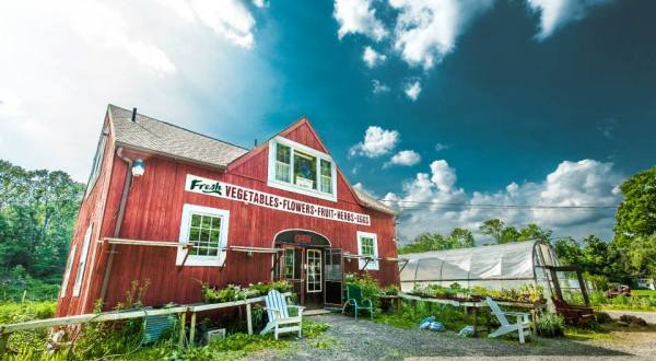 There’s A Bakery On This Beautiful Farm In Connecticut And You Have To Visit