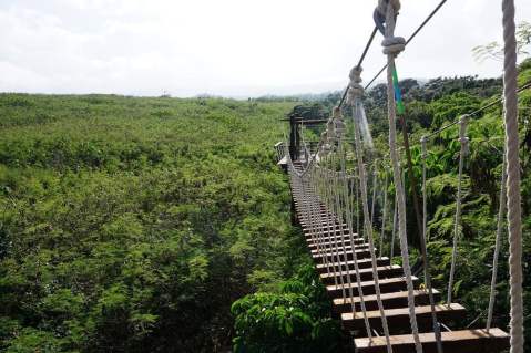 There’s An Adventure Park Hiding In The Middle Of A Hawaii Jungle And You Need To Visit
