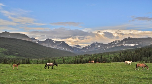 9 Incredible, Almost Unbelievable Facts About Montana