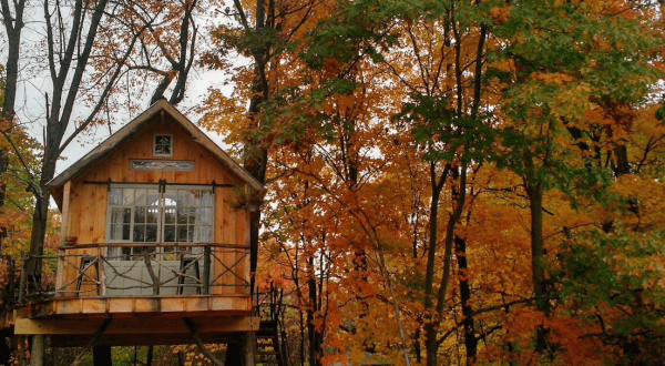 This Treehouse In New York Will Give You An Unforgettable Experience