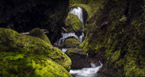 You've Never Seen Anything Like This Newly Discovered Secret Canyon In Oregon