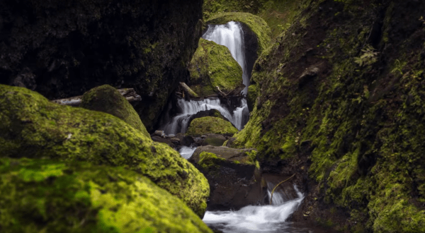 You’ve Never Seen Anything Like This Newly Discovered Secret Canyon In Oregon