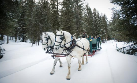 The Magical Sleigh Ride Dinner In Montana You Need To Experience