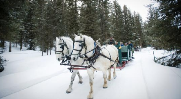 The Magical Sleigh Ride Dinner In Montana You Need To Experience
