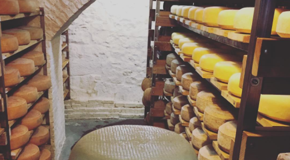 Most People Have No Idea Giant Tunnels Of Cheese Are Hiding New York
