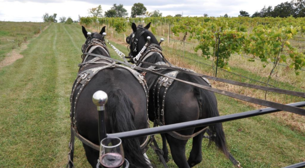 This Amazing Wagon Ride Will Take You Through Missouri’s Wine Country