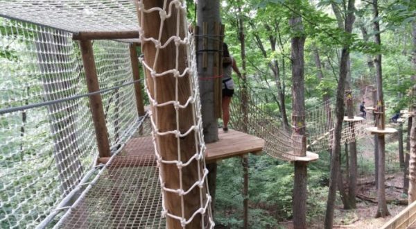 There’s An Adventure Park Hiding In The Middle Of A Kentucky Forest And You Need To Visit