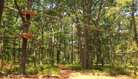 There’s An Adventure Park Hiding In The Middle Of A New Jersey Forest And You Need To Visit