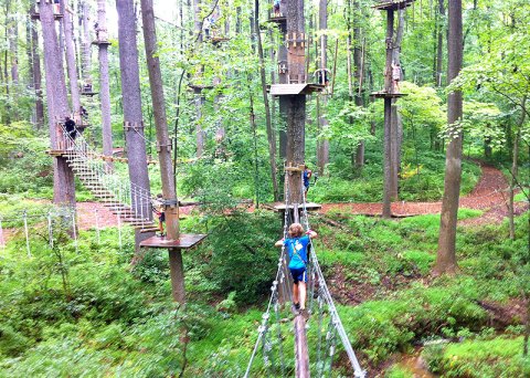 There’s An Adventure Park Hiding In The Middle Of A Massachusetts Forest And You Need To Visit