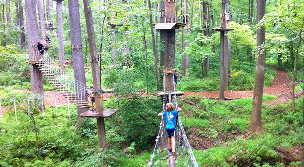 There’s An Adventure Park Hiding In The Middle Of A Massachusetts Forest And You Need To Visit