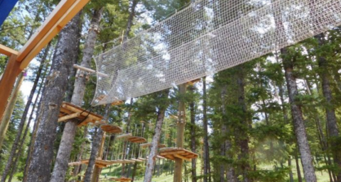 There's An Adventure Park Hiding In The Middle Of A Wyoming Forest And You Need To Visit