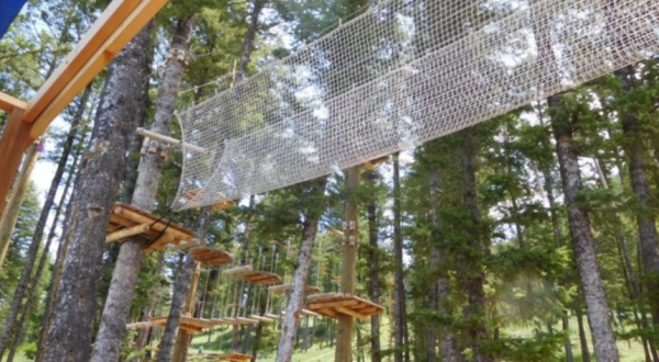There’s An Adventure Park Hiding In The Middle Of A Wyoming Forest And You Need To Visit