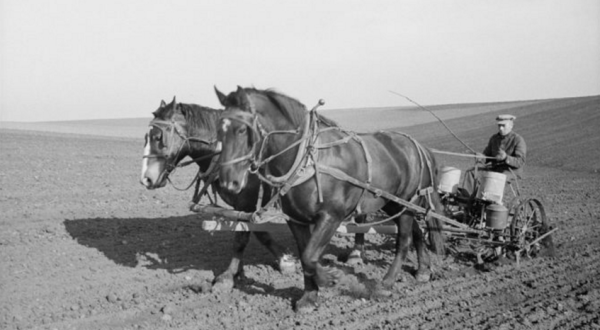 These 27 Rare Photos Show Iowa’s Farming History Like Never Before