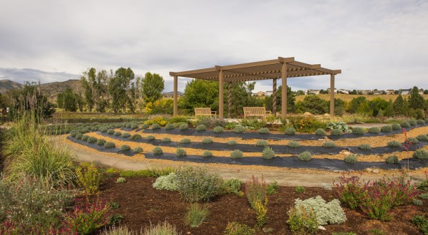 The Beautiful Lavender Farm Hiding In Plain Sight In Denver That You Need To Visit