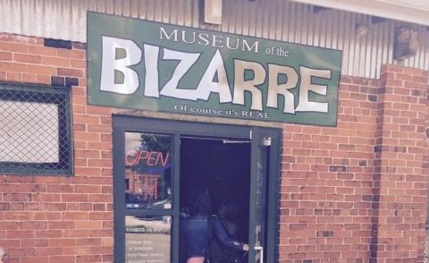 The Museum Of The Bizarre In North Carolina Is Not For The Faint Of Heart