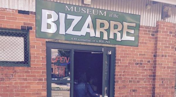 The Museum Of The Bizarre In North Carolina Is Not For The Faint Of Heart