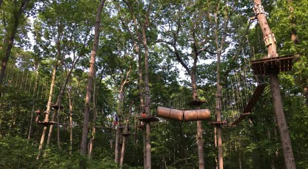 There’s An Adventure Park Hiding In The Middle Of A New York Forest And You Need To Visit
