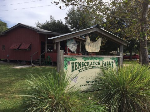 There’s a Winery On This Beautiful Farm In Florida And It Makes For A Great Day Trip