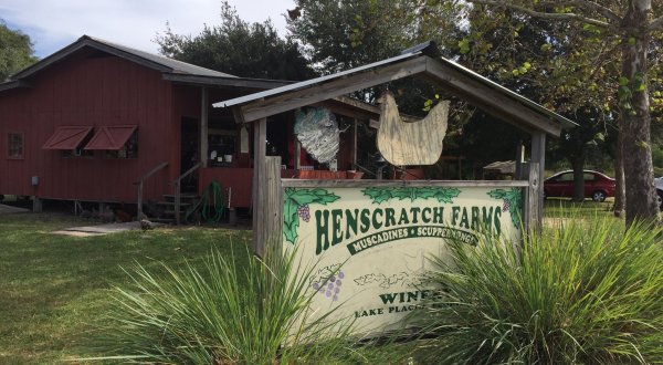 There’s a Winery On This Beautiful Farm In Florida And It Makes For A Great Day Trip