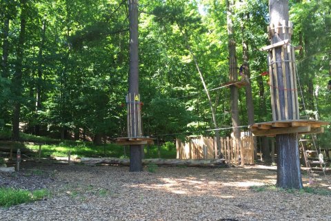 There’s An Adventure Park Hiding In The Middle Of An Ohio Forest And You Need To Visit
