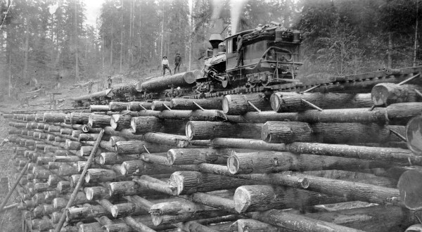 These 7 Rare Photos Show Portland’s Logging History Like Never Before
