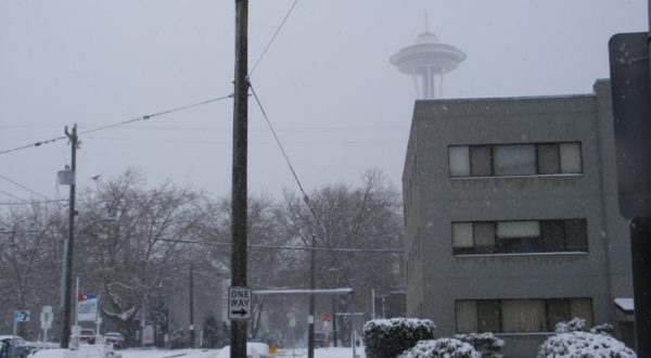 A Massive Blizzard Blanketed Washington In Snow In 2008 And It Will Never Be Forgotten