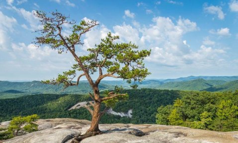 12 Under-Appreciated State Parks In North Carolina You're Sure To Love