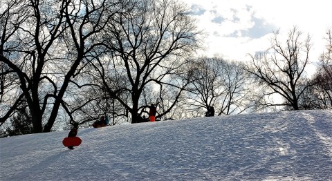 Here Are the 10 Best Places To Go Sled Riding In Pittsburgh This Winter