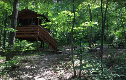 These Treehouses in Maryland Will Give You An Unforgettable Experience
