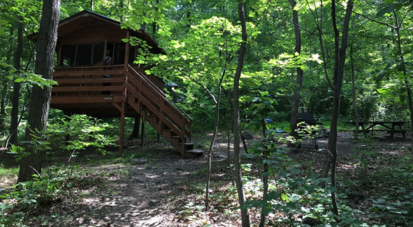 These Treehouses in Maryland Will Give You An Unforgettable Experience