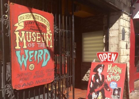 The Museum Of The Weird In Texas Is Not For The Faint Of Heart