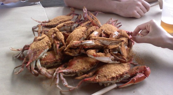 13 Undeniable Things Every True Marylander Has Done At Least Once