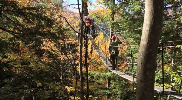 There’s An Adventure Park Hiding In The Middle Of A New Hampshire Forest And You Need To Visit