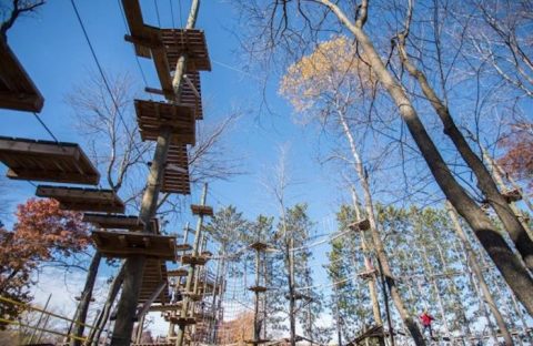 There’s An Adventure Park Hiding In The Middle Of A Wisconsin Forest And You Need To Visit