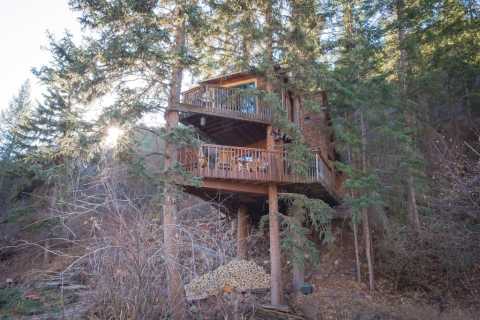 Sleep Underneath The Forest Canopy At This Epic Treehouse Near Denver