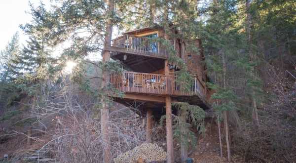 Sleep Underneath The Forest Canopy At This Epic Treehouse Near Denver