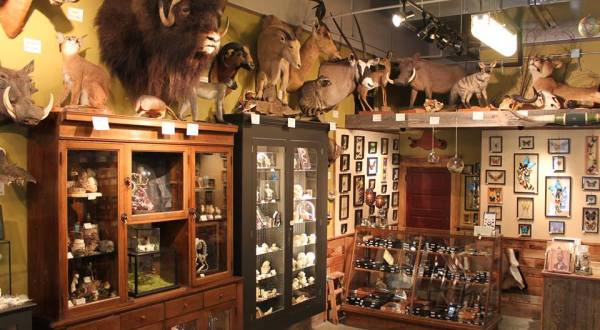 The Crazy One-Of-A-Kind Store You’ll Only Find In Portland