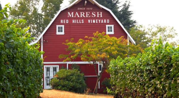 This Beautiful Barn In Oregon Is Now A Wine Tasting Room And You’ll Want To Visit
