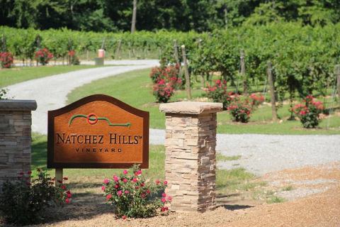 The Remote Winery Near Nashville That's Picture Perfect For A Day Trip