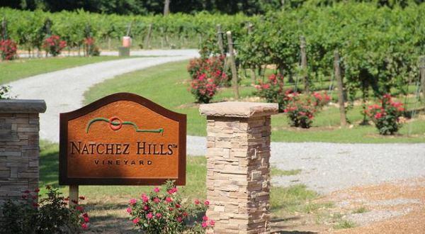 The Remote Winery Near Nashville That’s Picture Perfect For A Day Trip
