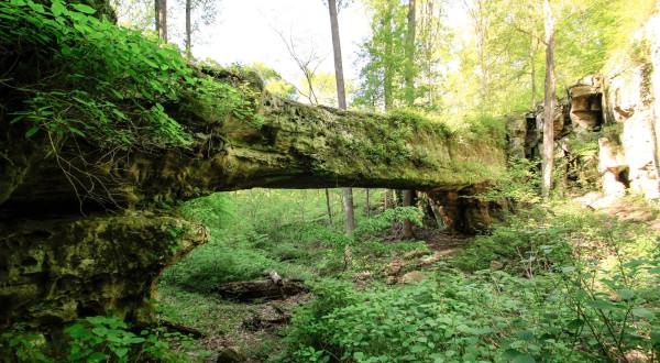 This Incredible Bridge Hidden In An Illinois Forest Isn’t What You Expect
