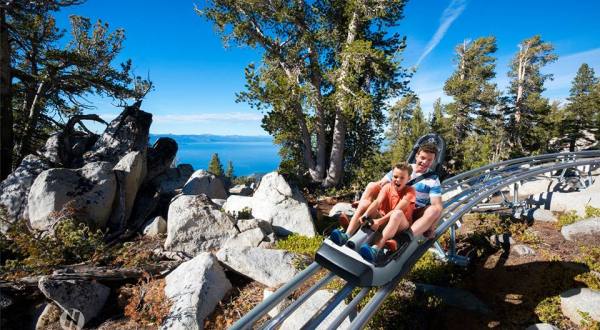 The Mountain Coaster In Northern California That Will Take You On A Thrilling Adventure