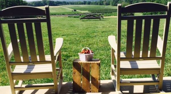 There’s A Bakery On This Beautiful Farm In Virginia And You Have To Visit