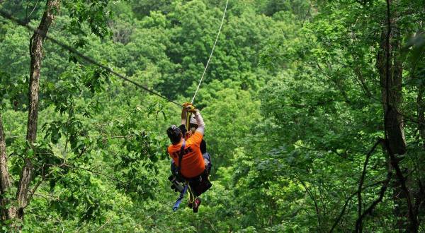 There’s An Adventure Park Hiding In The Middle Of An Illinois Forest And You Need To Visit