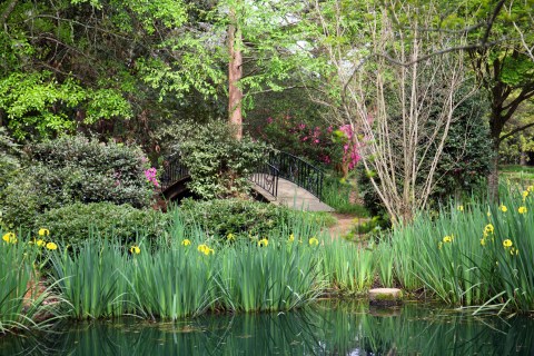 The Secret Garden In Mississippi You’re Guaranteed To Love