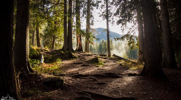 The Place In Idaho That Makes You Feel Like You’ve Stepped Through A Magical Wardrobe