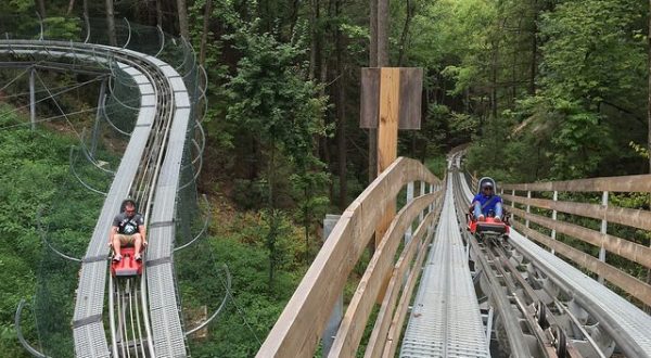 The Mountain Coaster In Tennessee That Will Take You On A Ride Of A Lifetime