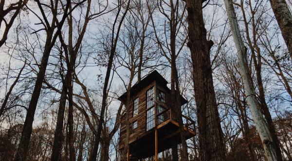 Sleep Underneath The Forest Canopy At This Epic Treehouse In Tennessee