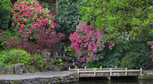 The Secret Garden In Portland You’re Guaranteed To Love